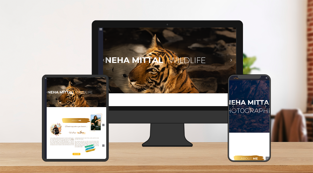 Nehamittal Photography